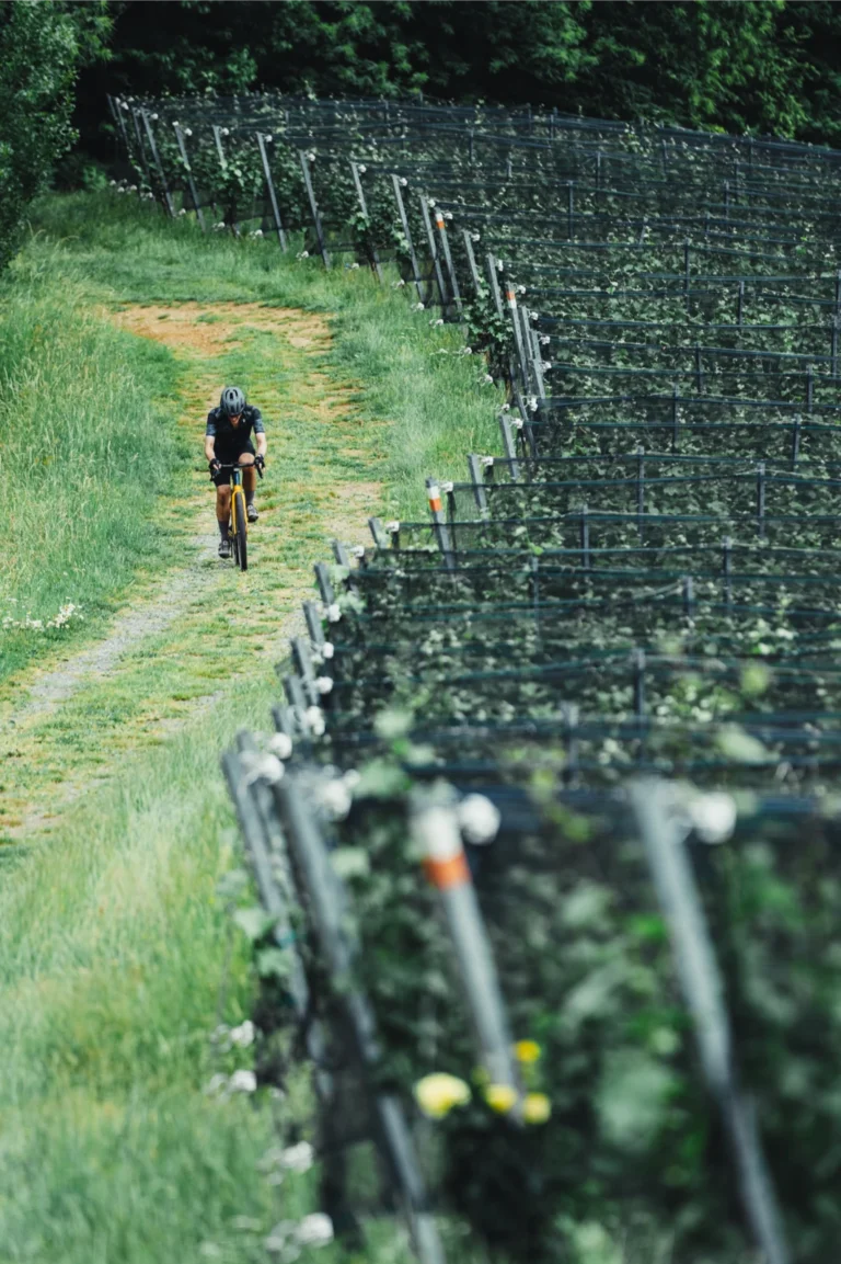 Gravel Biker Gravel Event Gravelei Südsteiermark